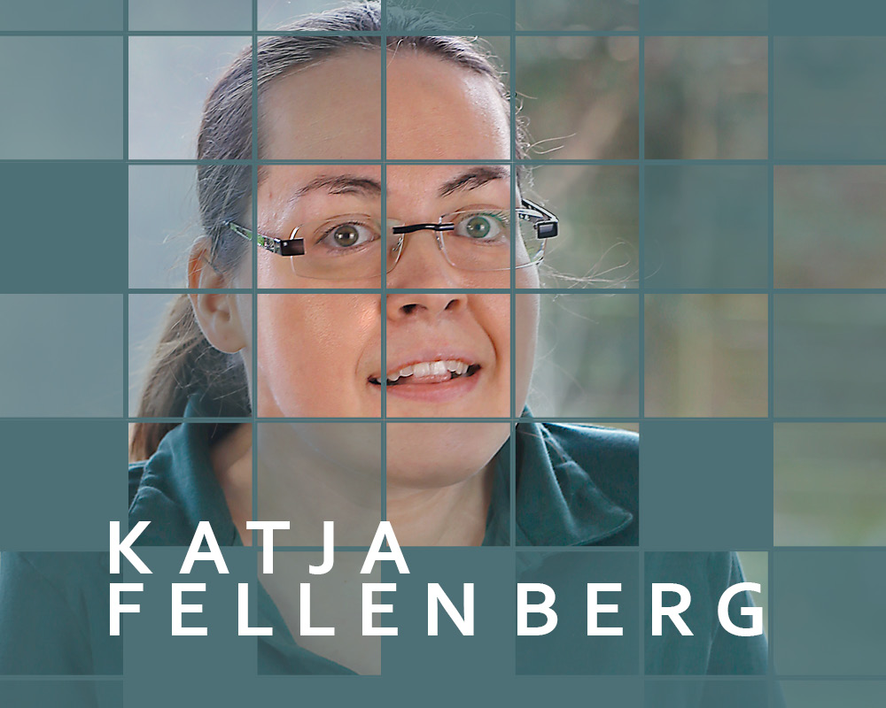 Ausschnitt der Ausstellung mit Katja Fellenberg