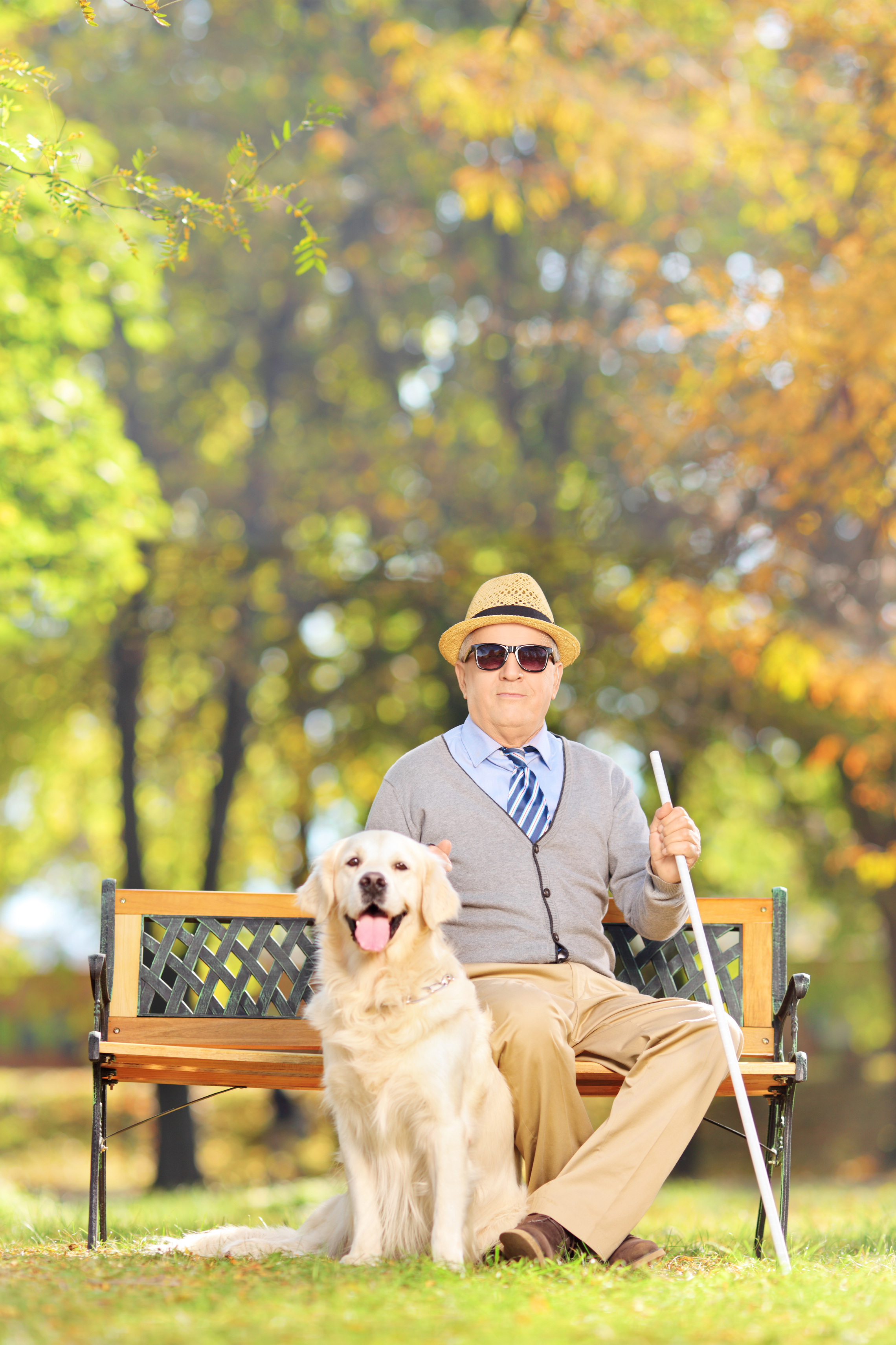 Ein Mann sitzt auf einer Bank in einem Park. Er hält einen Langastock in der hand. Vor ihm sitzt ein Hund