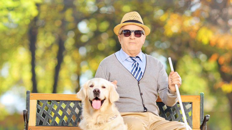 Ein Mann sitzt auf einer Bank in einem Park. Er hält einen Langastock in der hand. Vor ihm sitzt ein Hund