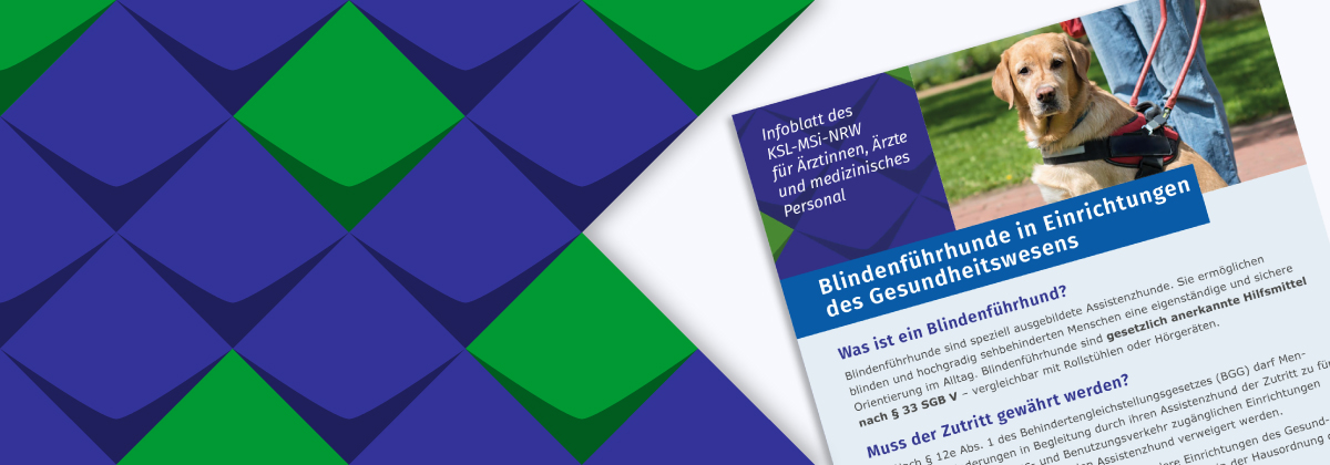 Bild des Informationsblattes „Blindenführhunde in Einrichtungen des Gesundheitswesens" in überarbeiteter Fassung.