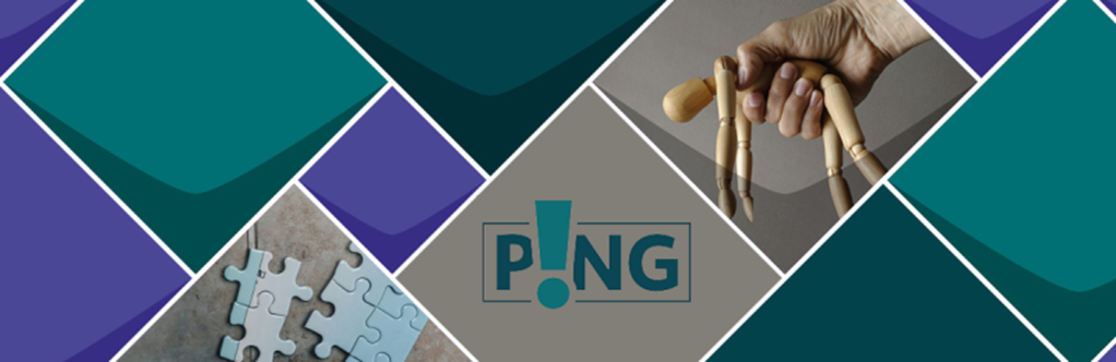 Projekt PING mit dem entsprechenden LOGO