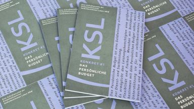 Bücher zum Persönlichen Budget 