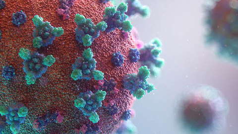 Computergrafik von einem Virus stark vergrößert