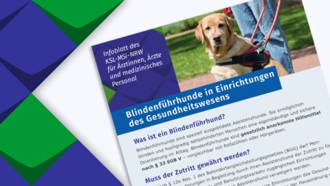 Bild des Informationsblattes „Blindenführhunde in Einrichtungen des Gesundheitswesens" in überarbeiteter Fassung.