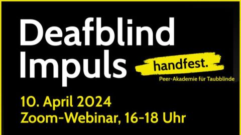 Infografik zum Webinar Ableismus